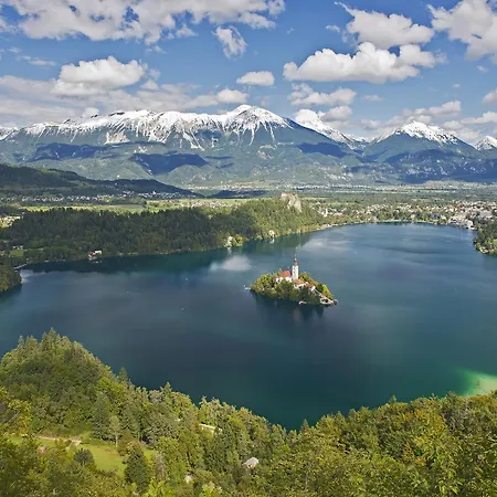 Lipa 2* Bled