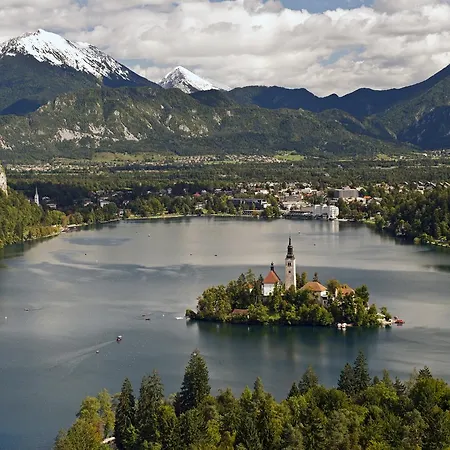 Lipa Bled