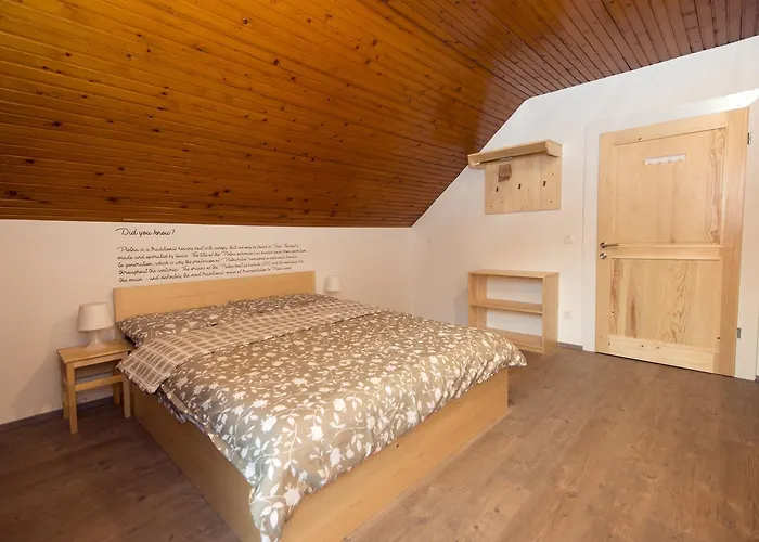 维拉利帕旅馆 招待所