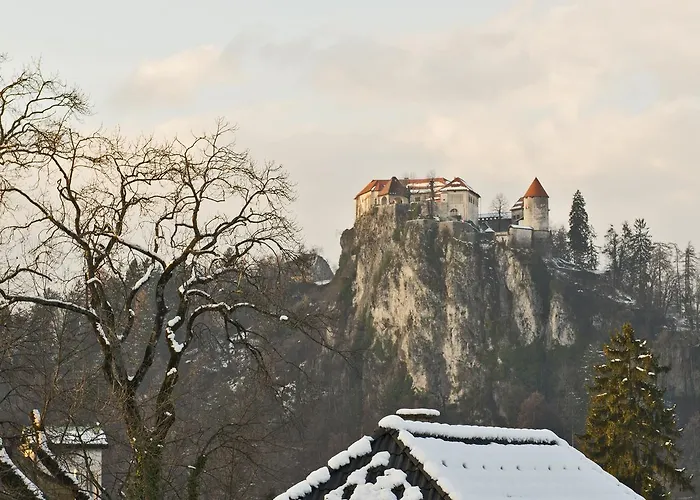 Lipa Hiša za goste 2*